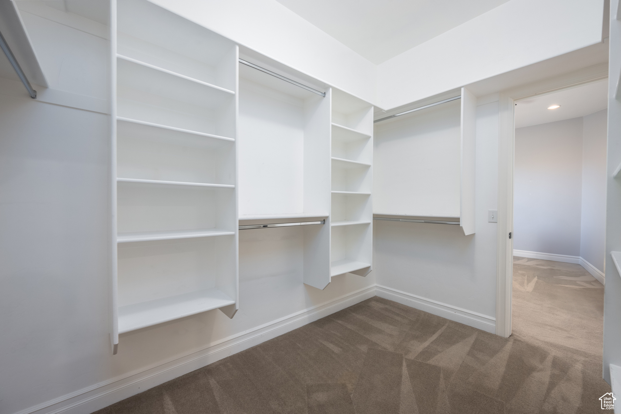 Walk in closet featuring carpet flooring