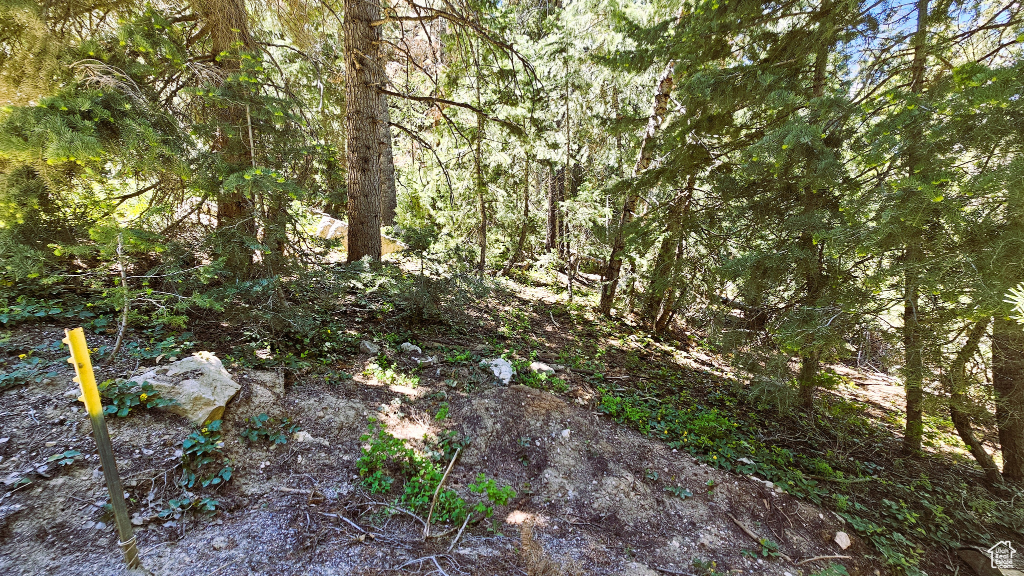 55 Timber Ridge Rd Mt Pleasant UT 84647 74,000