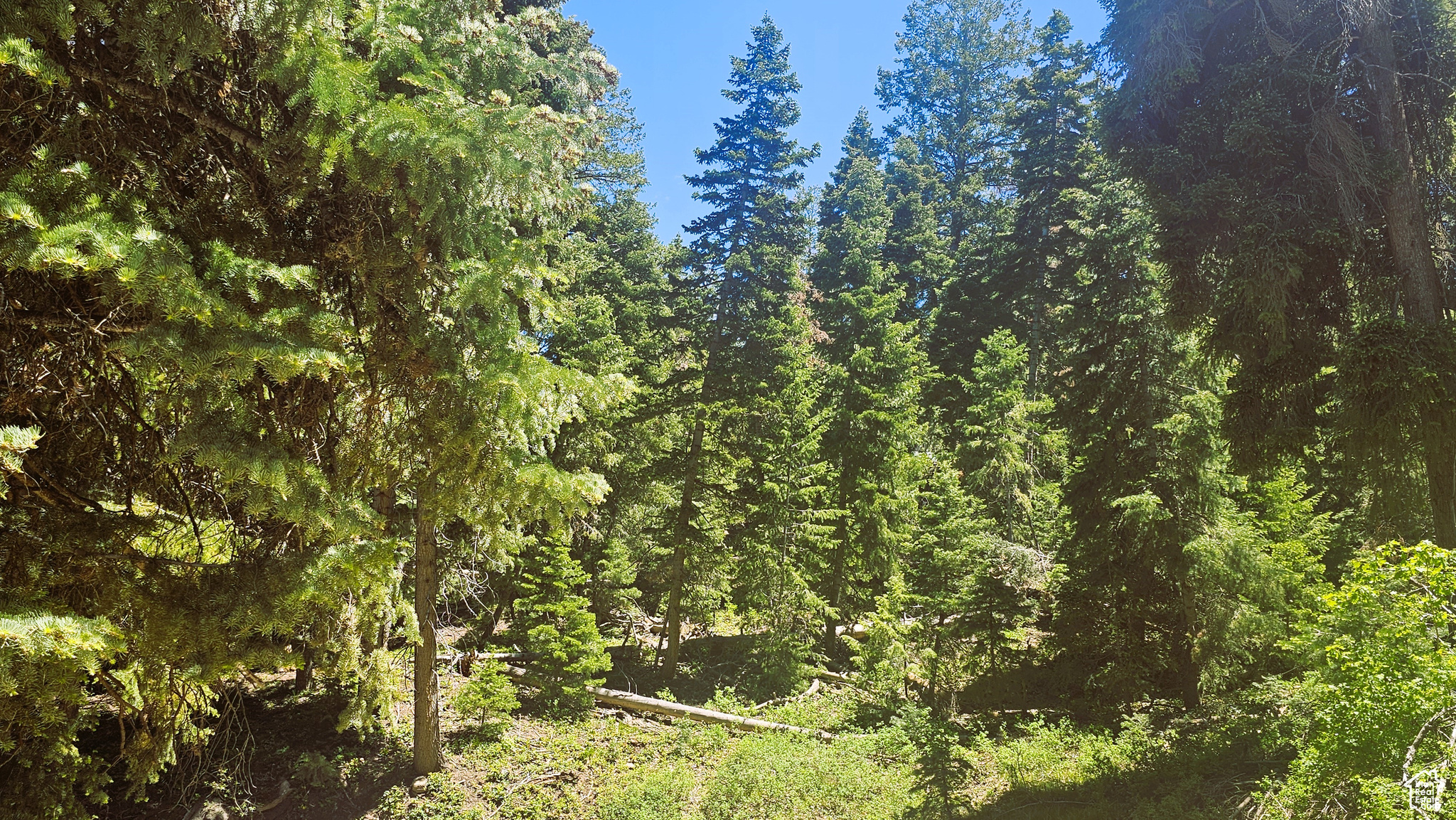 55 Timber Ridge Rd Mt Pleasant UT 84647 74,000