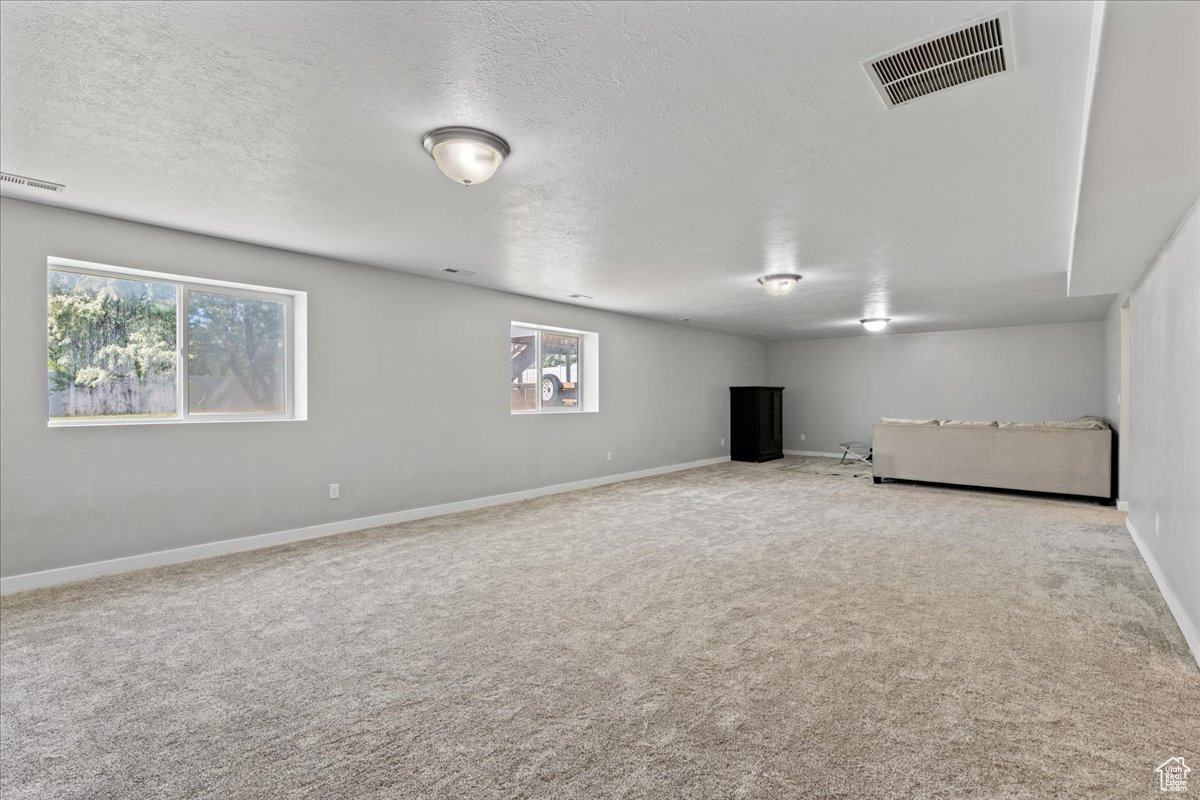 Basement with carpet, plenty of natural light, and a textured ceiling