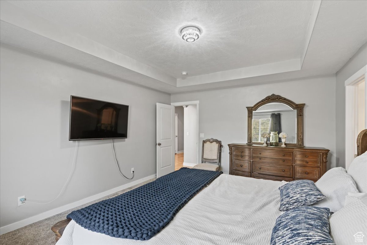 Carpeted bedroom with a tray ceiling