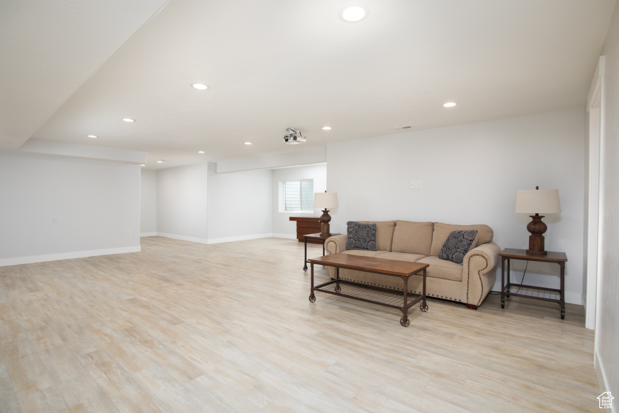 Basement Living Room