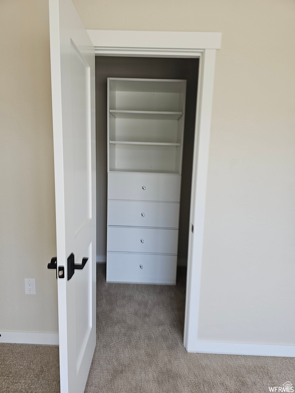 Walk in closet featuring carpet floors