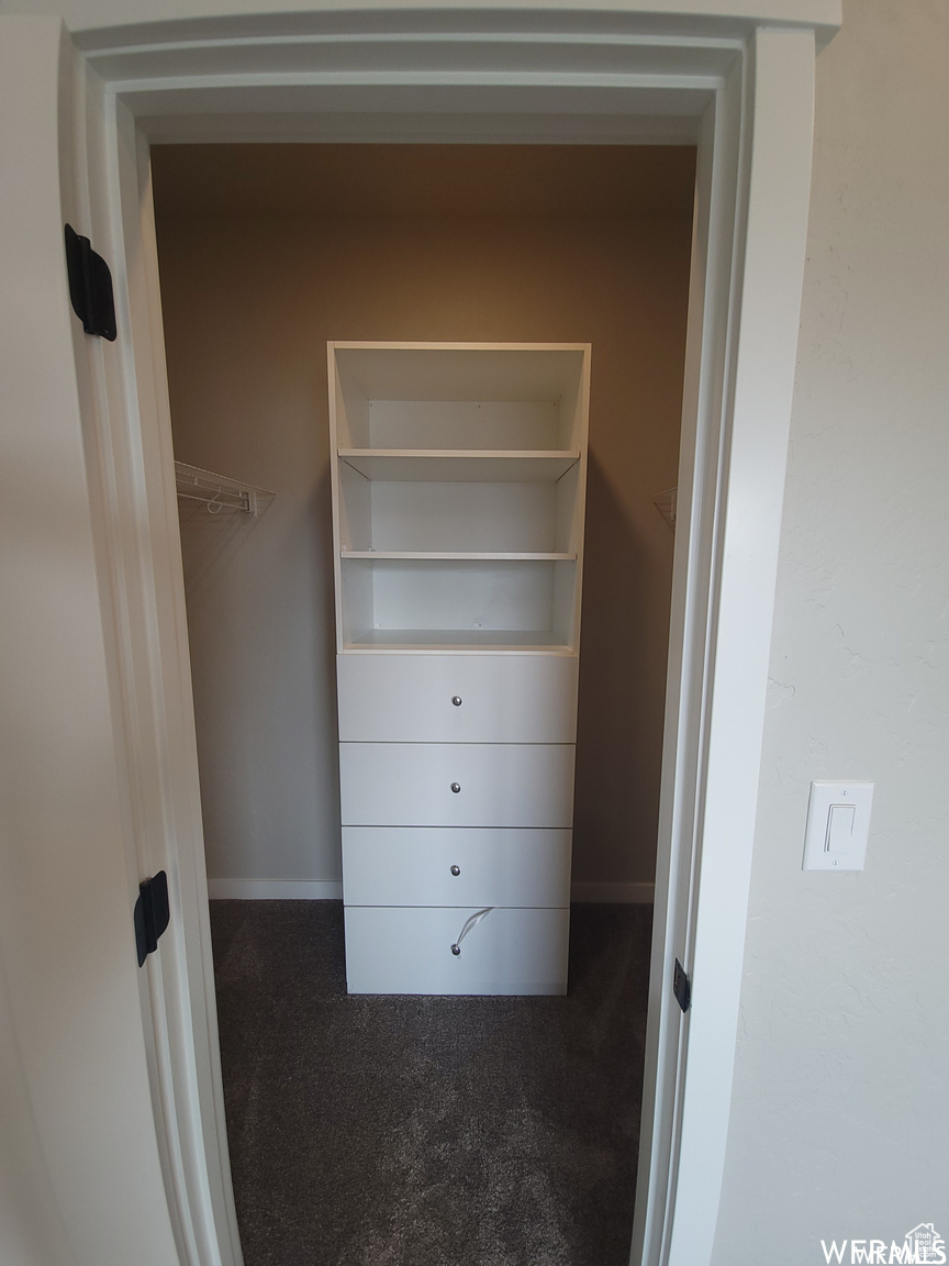 Spacious closet featuring carpet