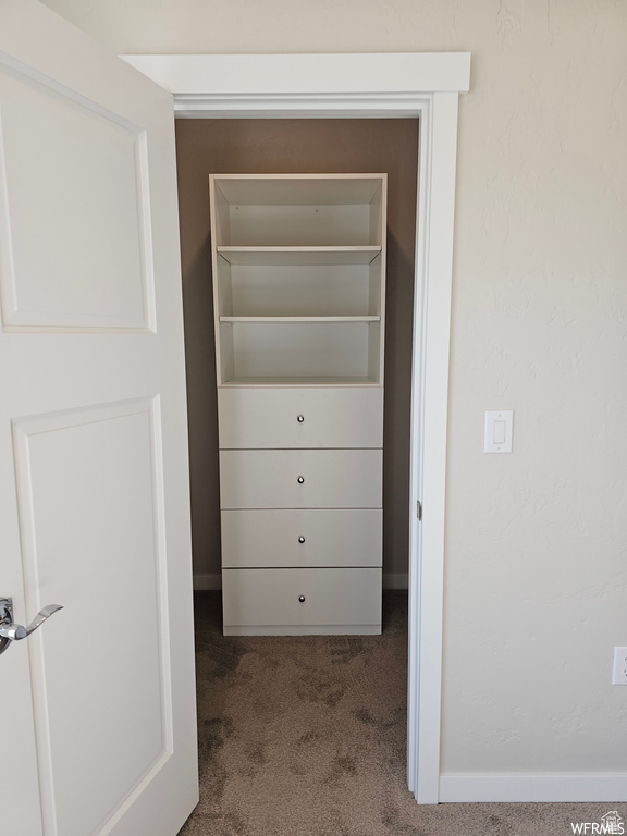 Spacious closet featuring carpet