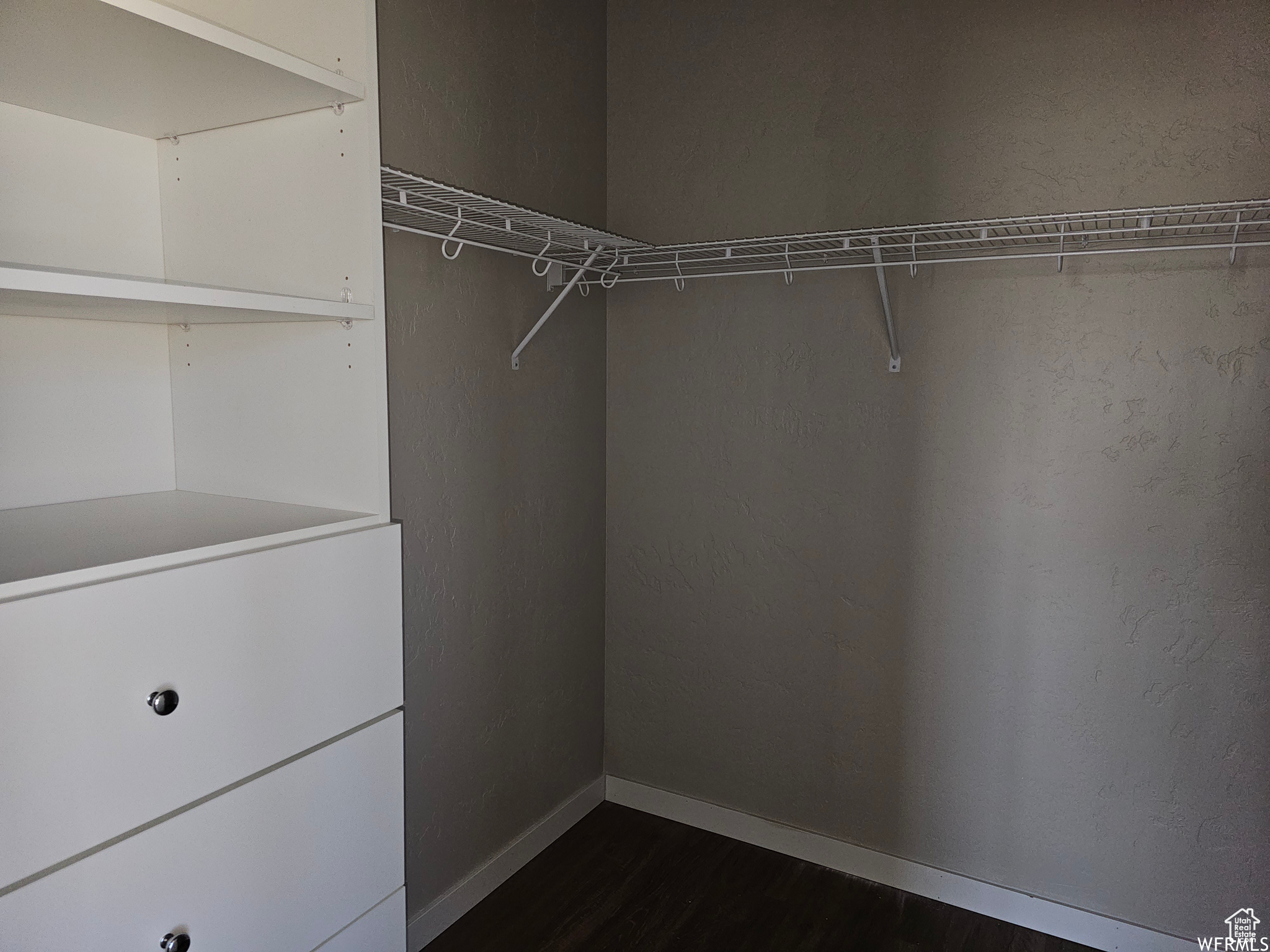 Spacious closet with dark hardwood / wood-style floors