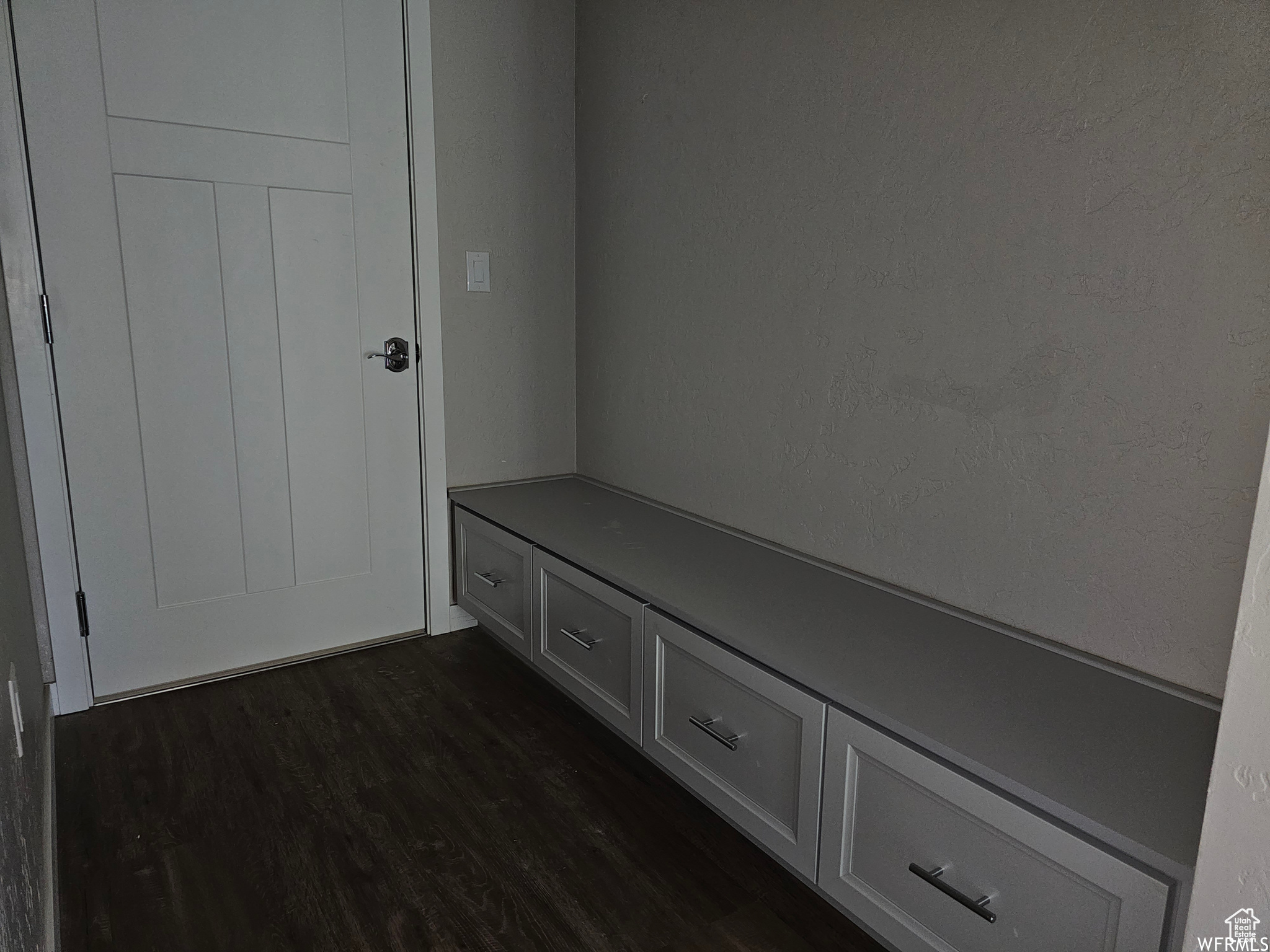 Mudroom featuring dark hardwood / wood-style flooring