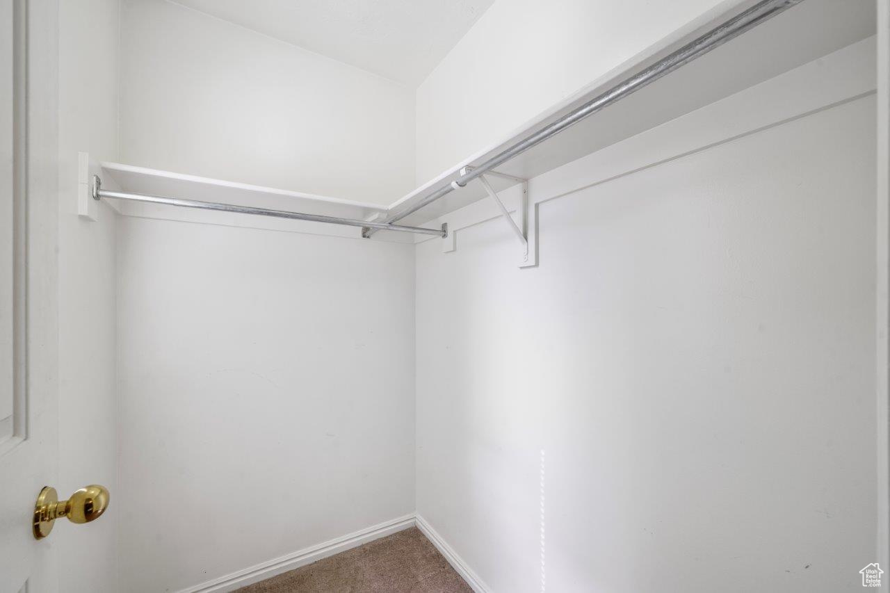 Spacious closet with carpet floors