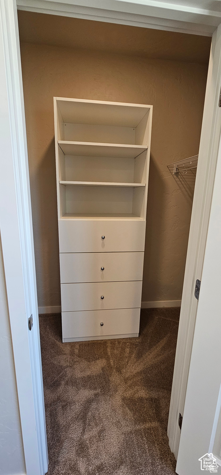 Spacious closet with carpet