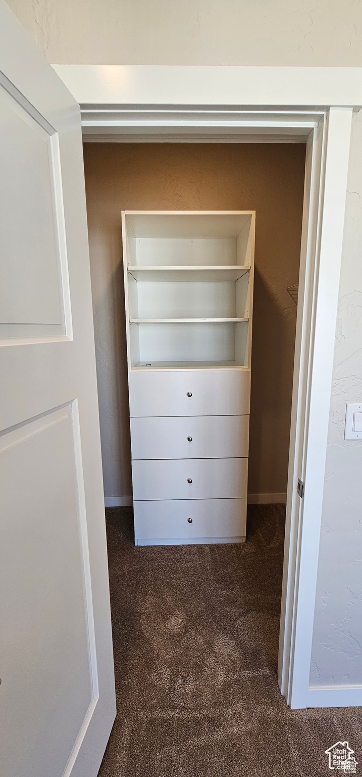 Spacious closet with dark colored carpet