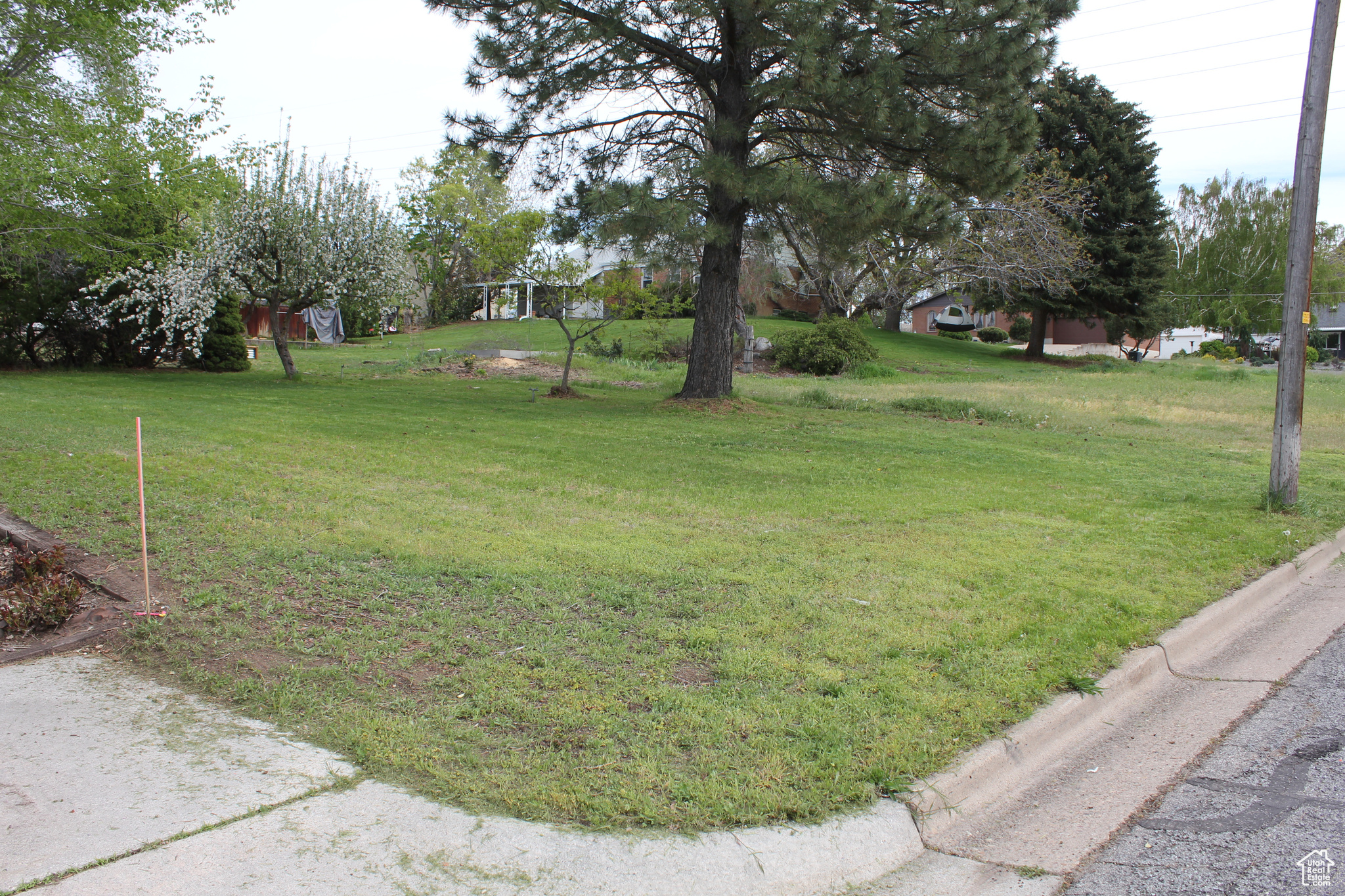 Stake shows North-West boundary looking South-West.