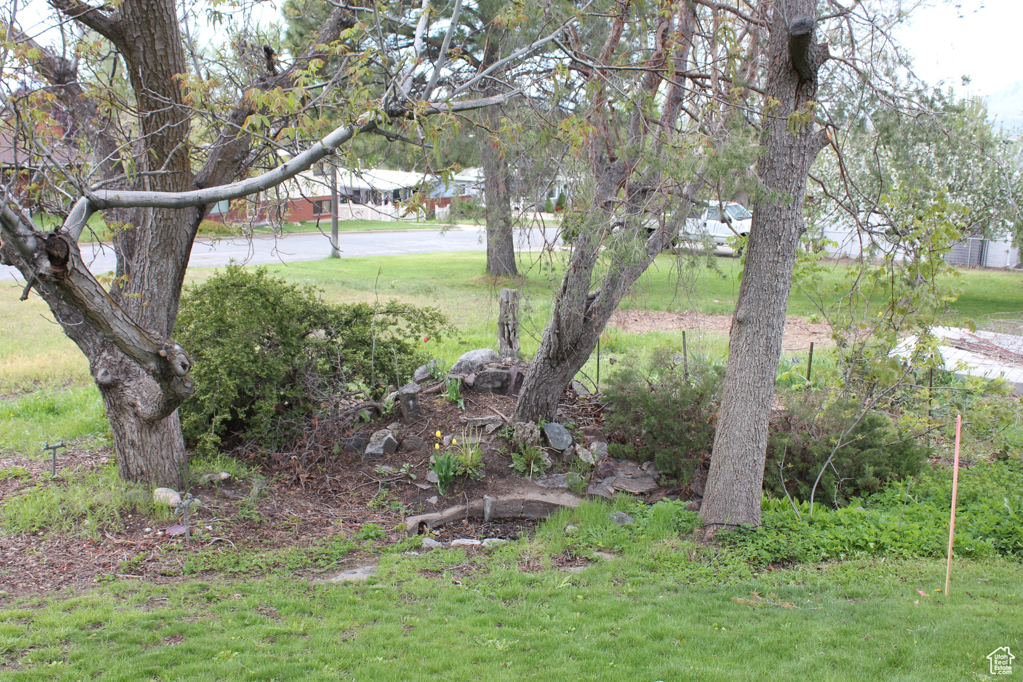 Small Fish Pond. Stake shows South-East boundary looking North-West.