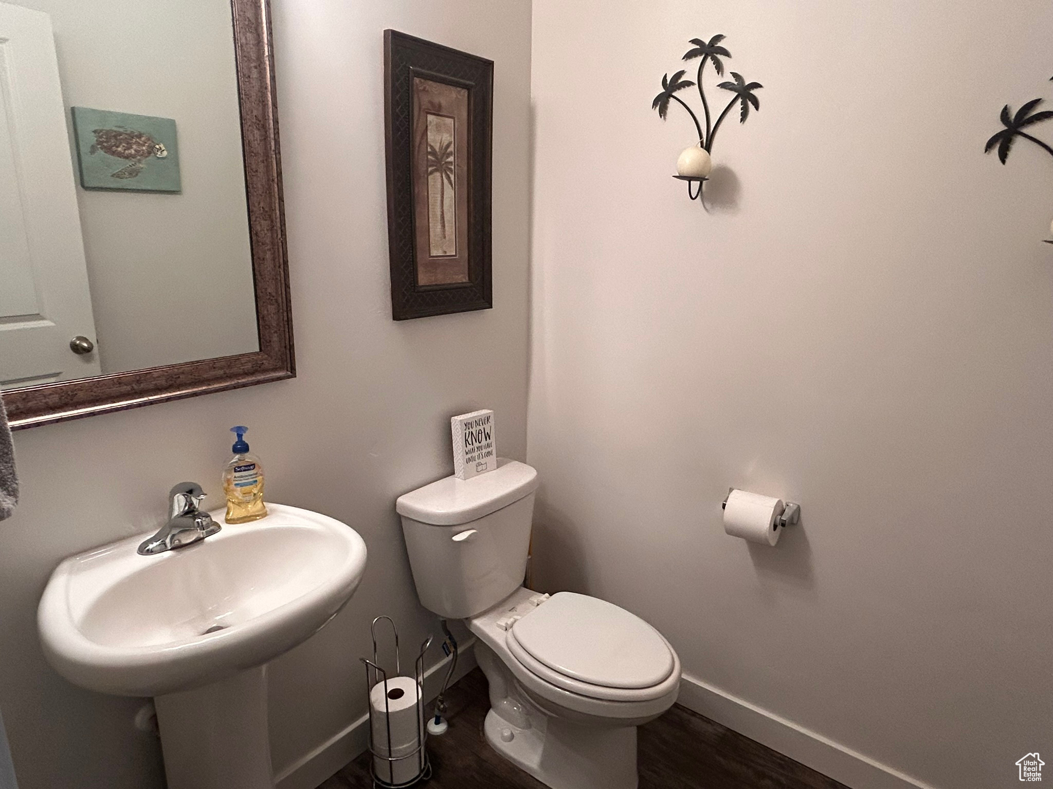 Bathroom with sink, hardwood / wood-style flooring, and toilet