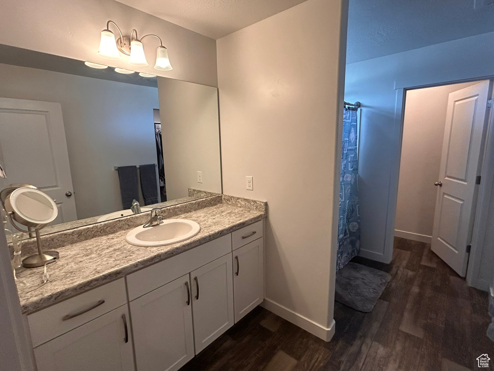 Bathroom featuring hardwood / wood-style flooring and large vanity