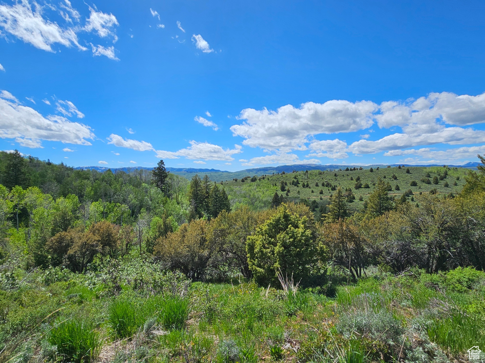 #249&10, Hyrum, Utah 84319, ,Land,For sale,2006788