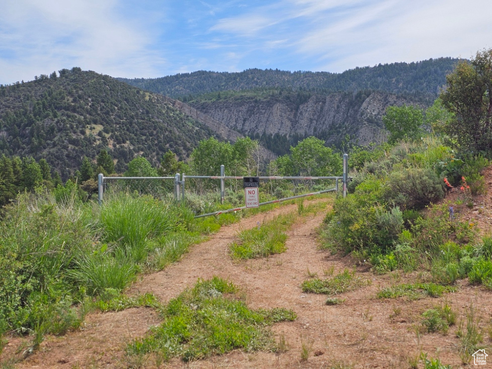 Sliver gate