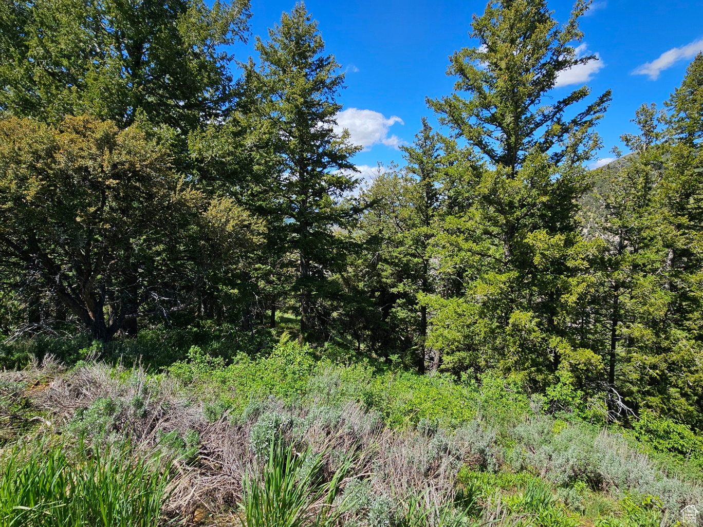 #249&10, Hyrum, Utah 84319, ,Land,For sale,2006788