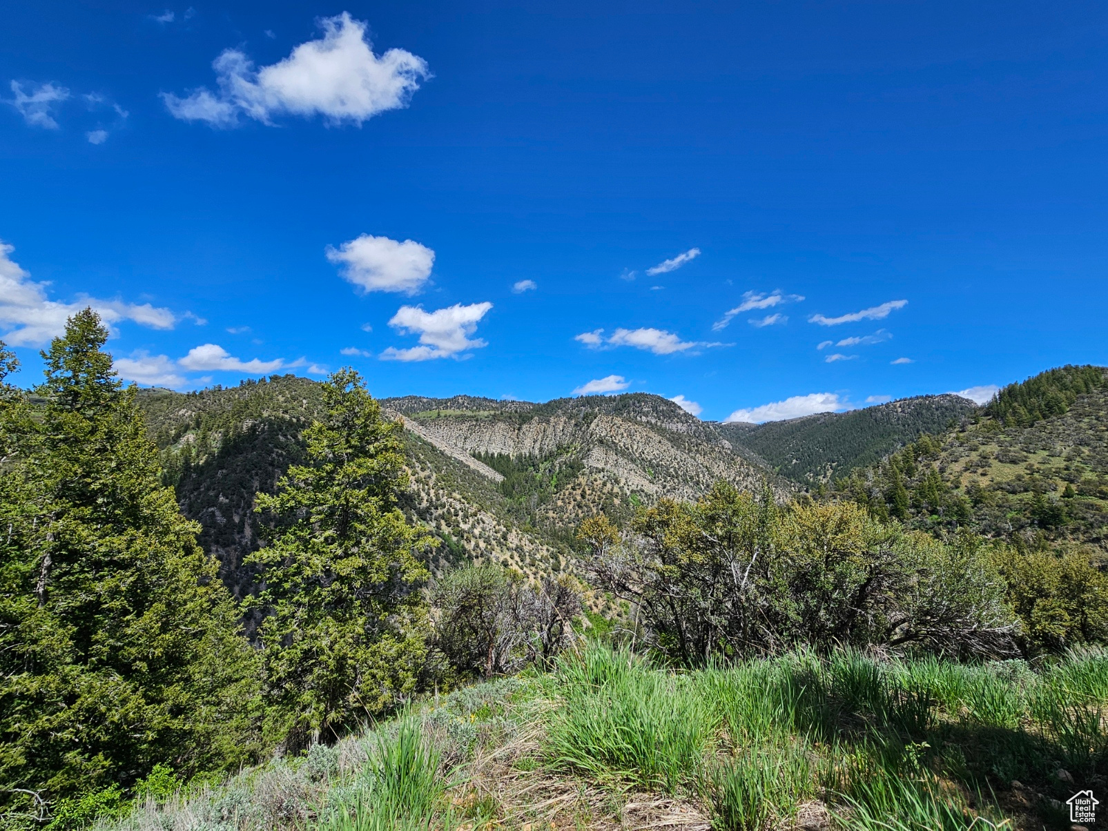 #249&10, Hyrum, Utah 84319, ,Land,For sale,2006788