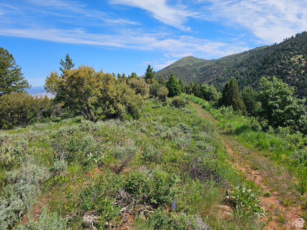 #249&10, Hyrum, Utah 84319, ,Land,For sale,2006788