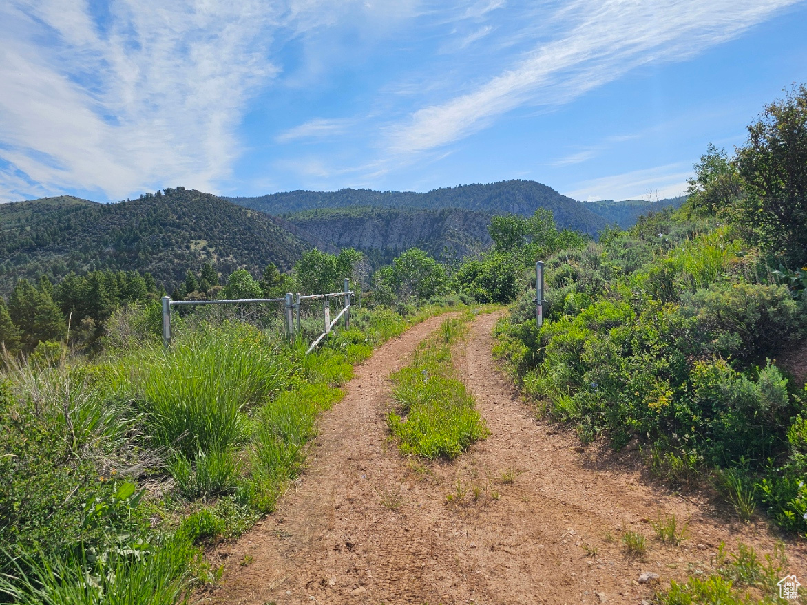 #249&10, Hyrum, Utah 84319, ,Land,For sale,2006788