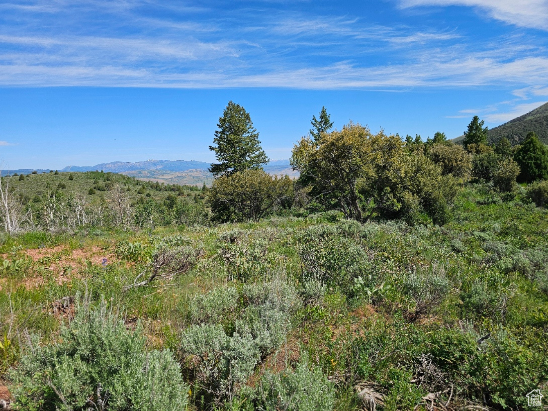 #249&10, Hyrum, Utah 84319, ,Land,For sale,2006788