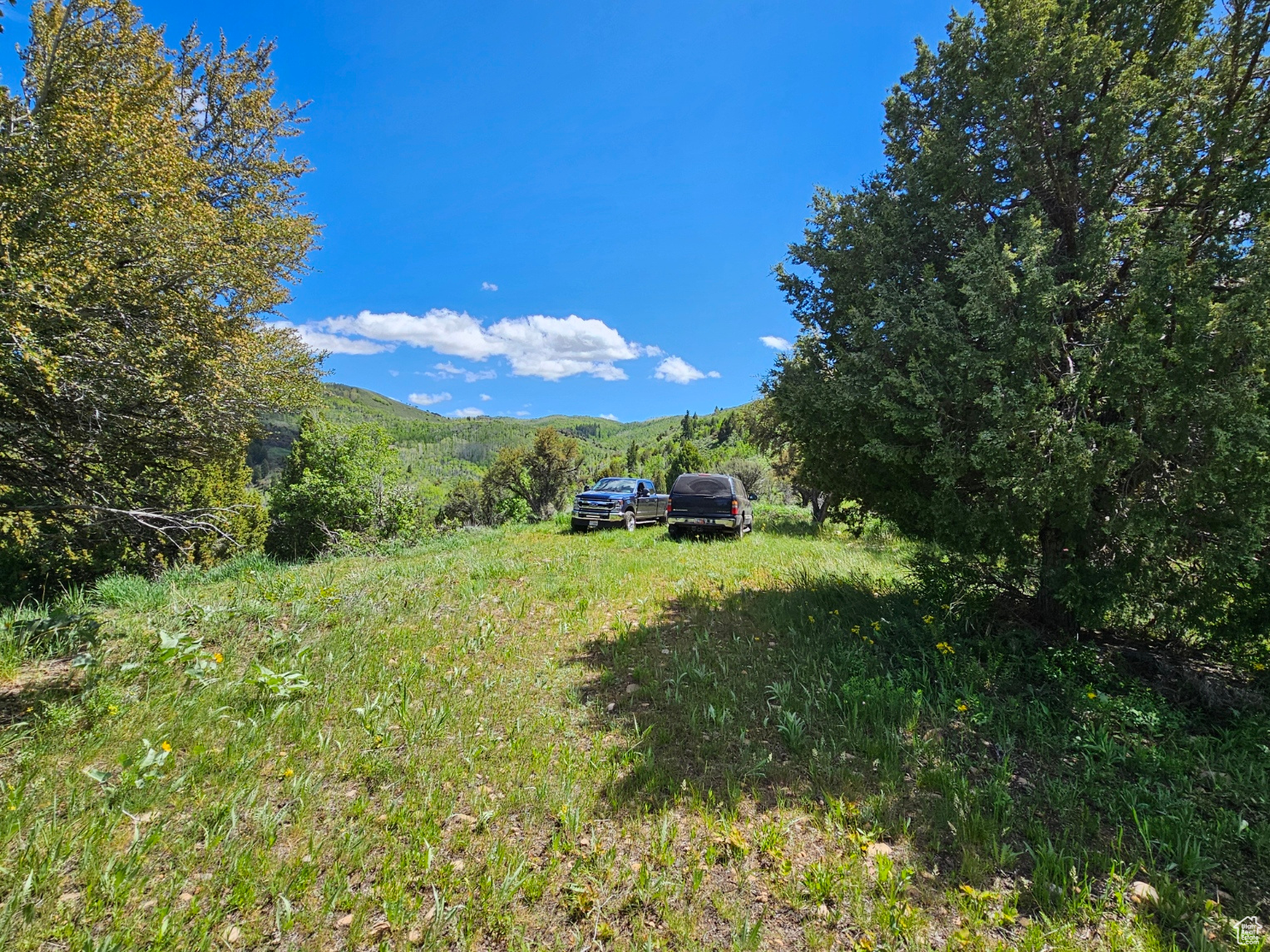 #249&10, Hyrum, Utah 84319, ,Land,For sale,2006788