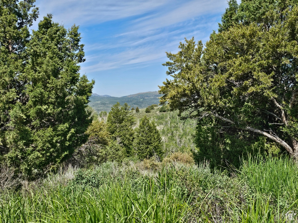 #249&10, Hyrum, Utah 84319, ,Land,For sale,2006788