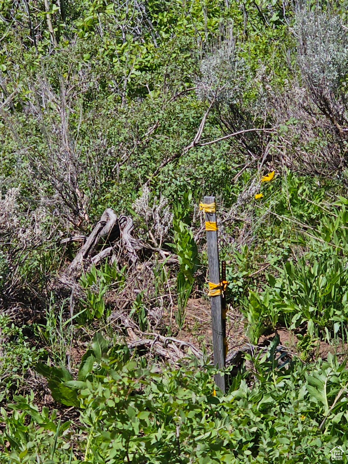 South boundary marker