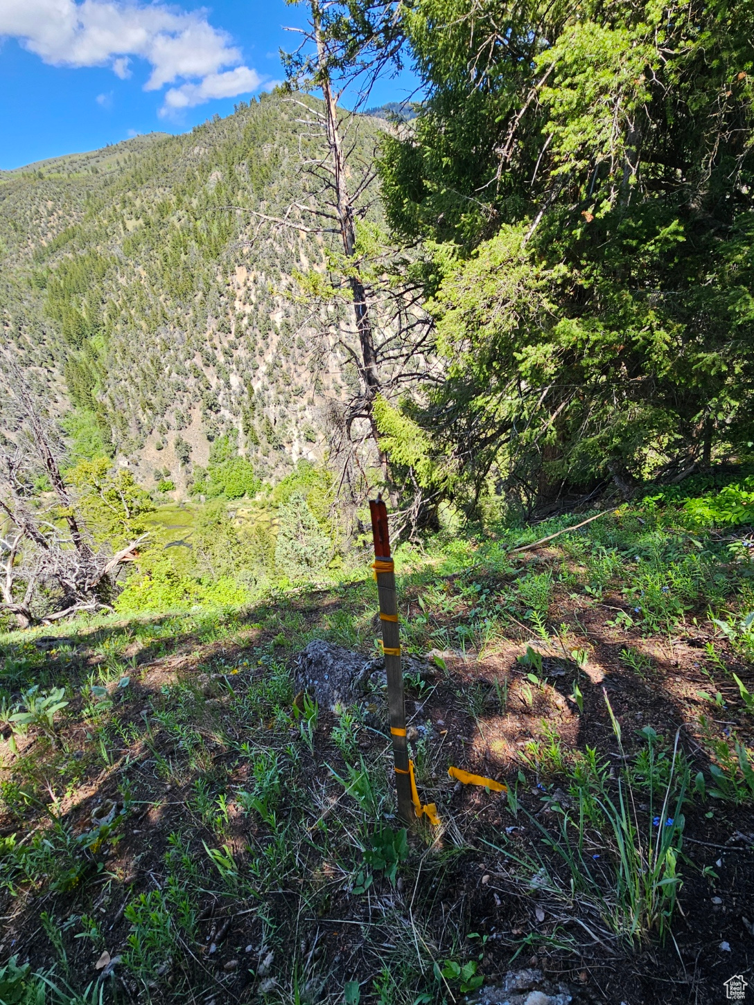 North Boundry marker