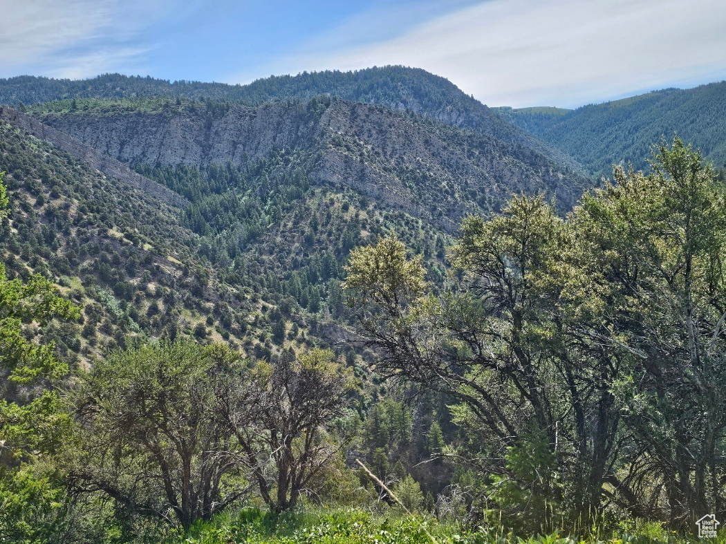 Chalk Creek area to the north east of the property