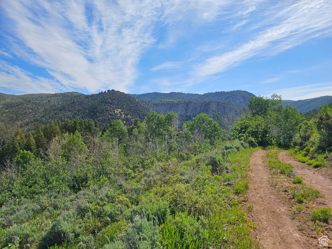 #249&10, Hyrum, Utah 84319, ,Land,For sale,2006788