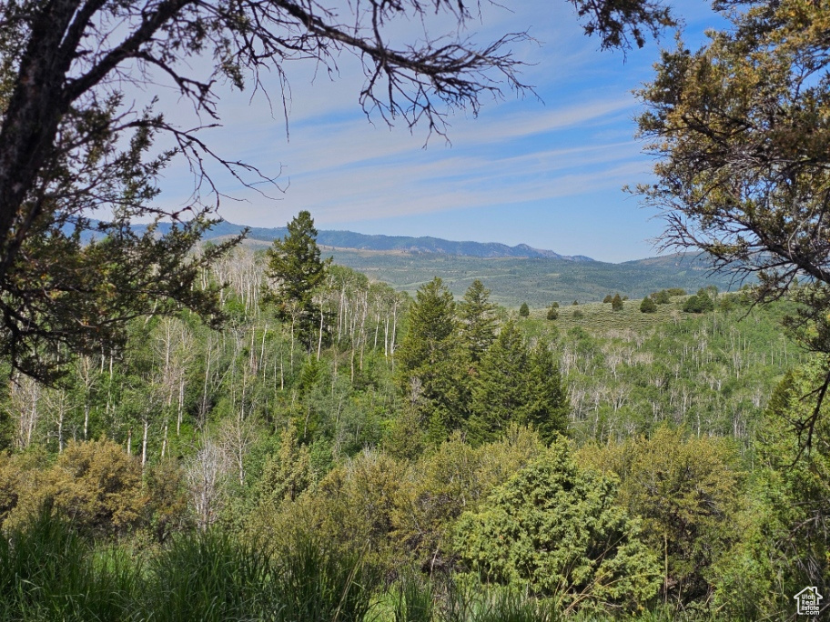 View across the property