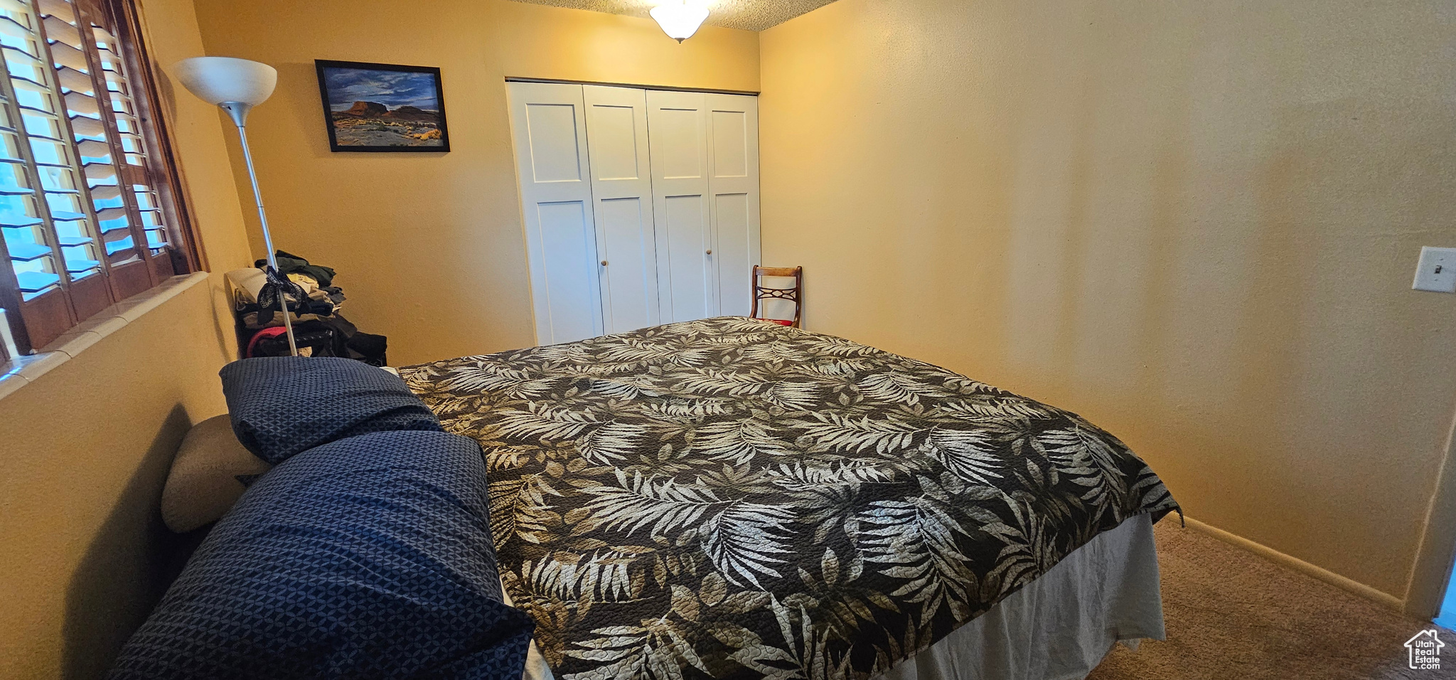 Carpeted bedroom with a closet