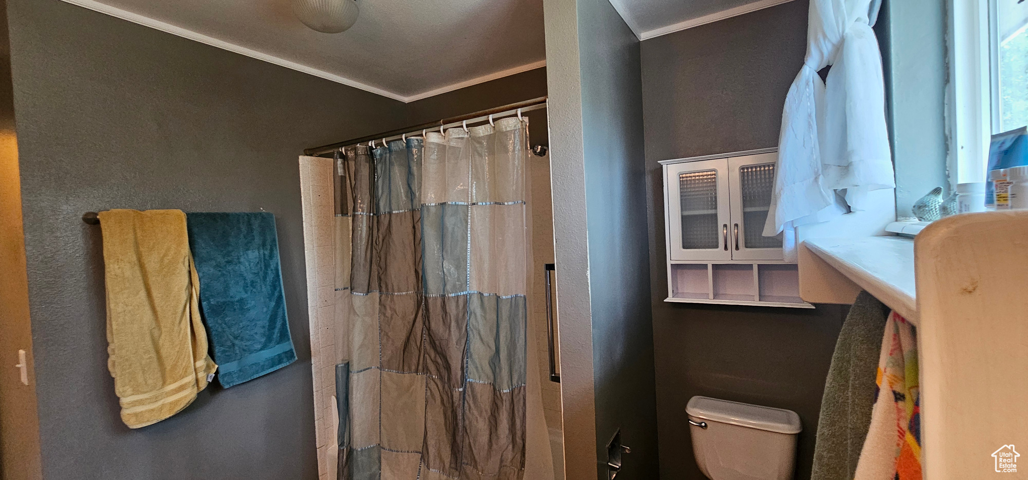 Bathroom with toilet and crown molding