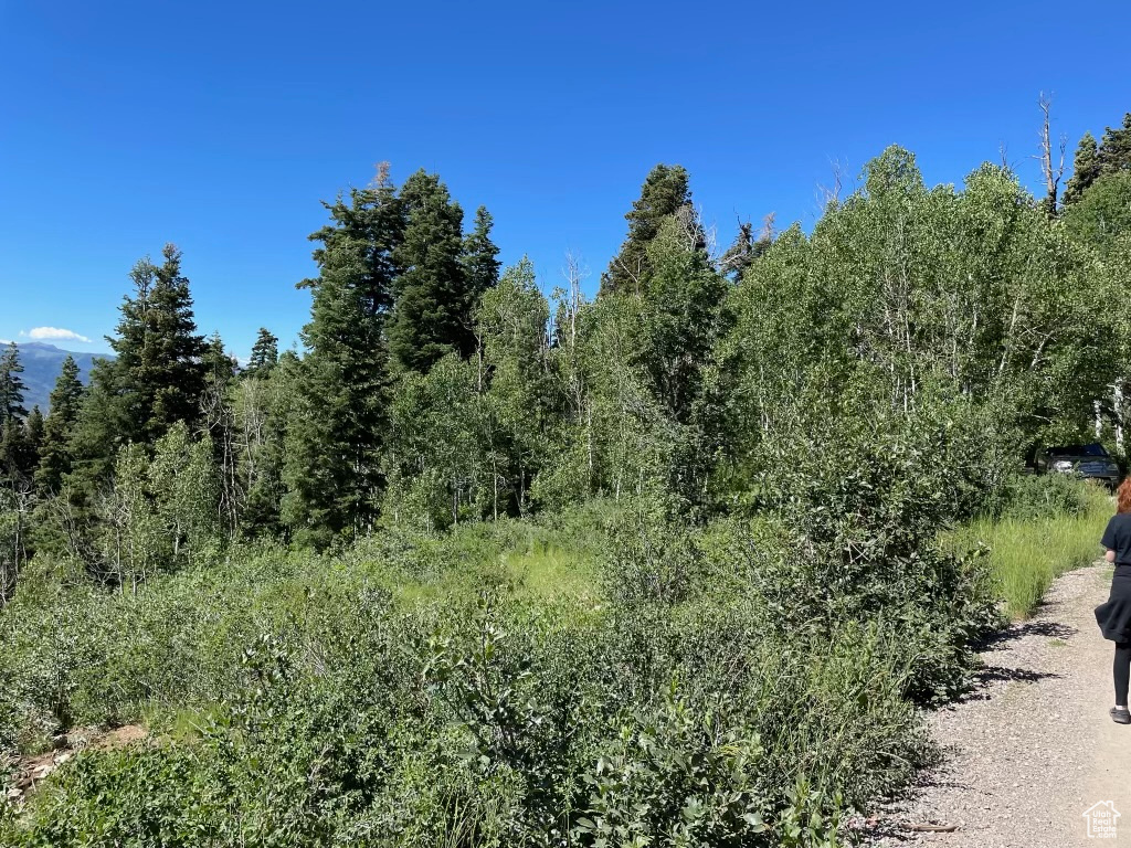 56  K QUAKING PINE CIR