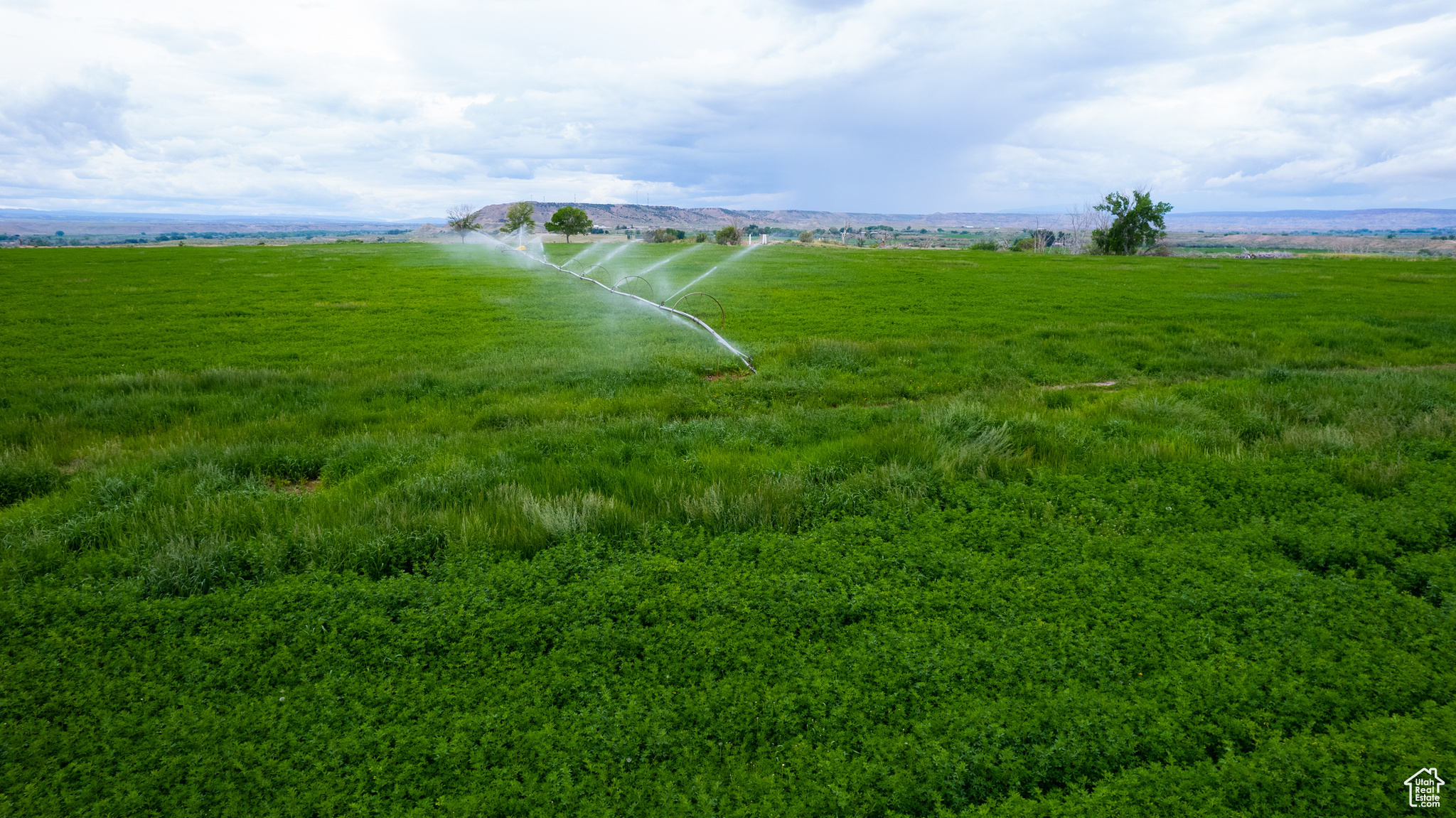 10541 W LAKE BOREHAM, Duchesne, Utah 84021, ,Farm,For sale,LAKE BOREHAM,2008440