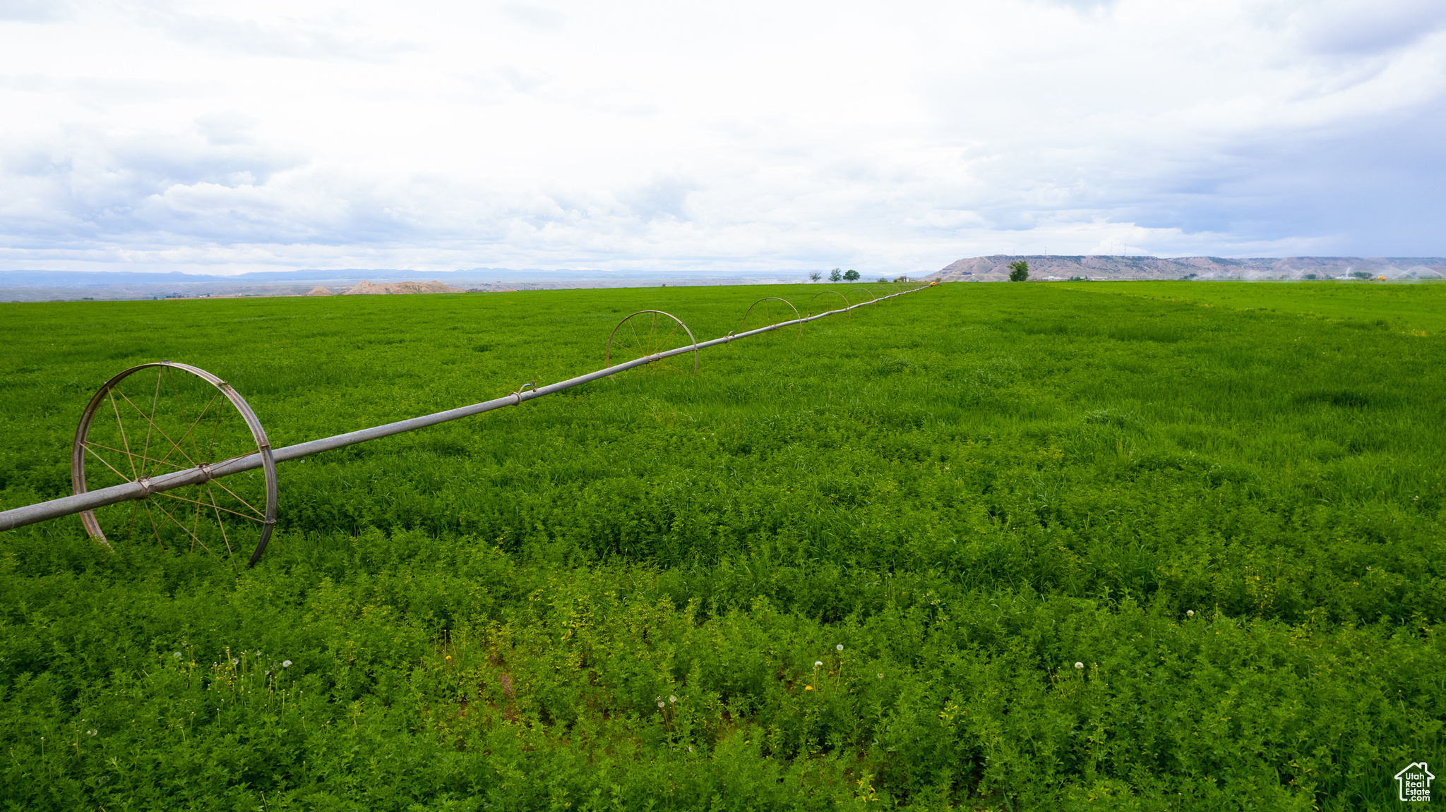 10541 W LAKE BOREHAM, Duchesne, Utah 84021, ,Farm,For sale,LAKE BOREHAM,2008440