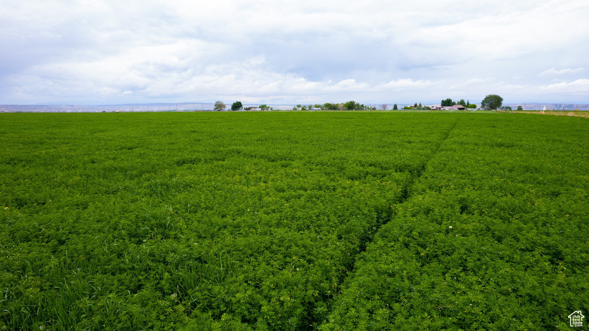 10541 W LAKE BOREHAM, Duchesne, Utah 84021, ,Farm,For sale,LAKE BOREHAM,2008440