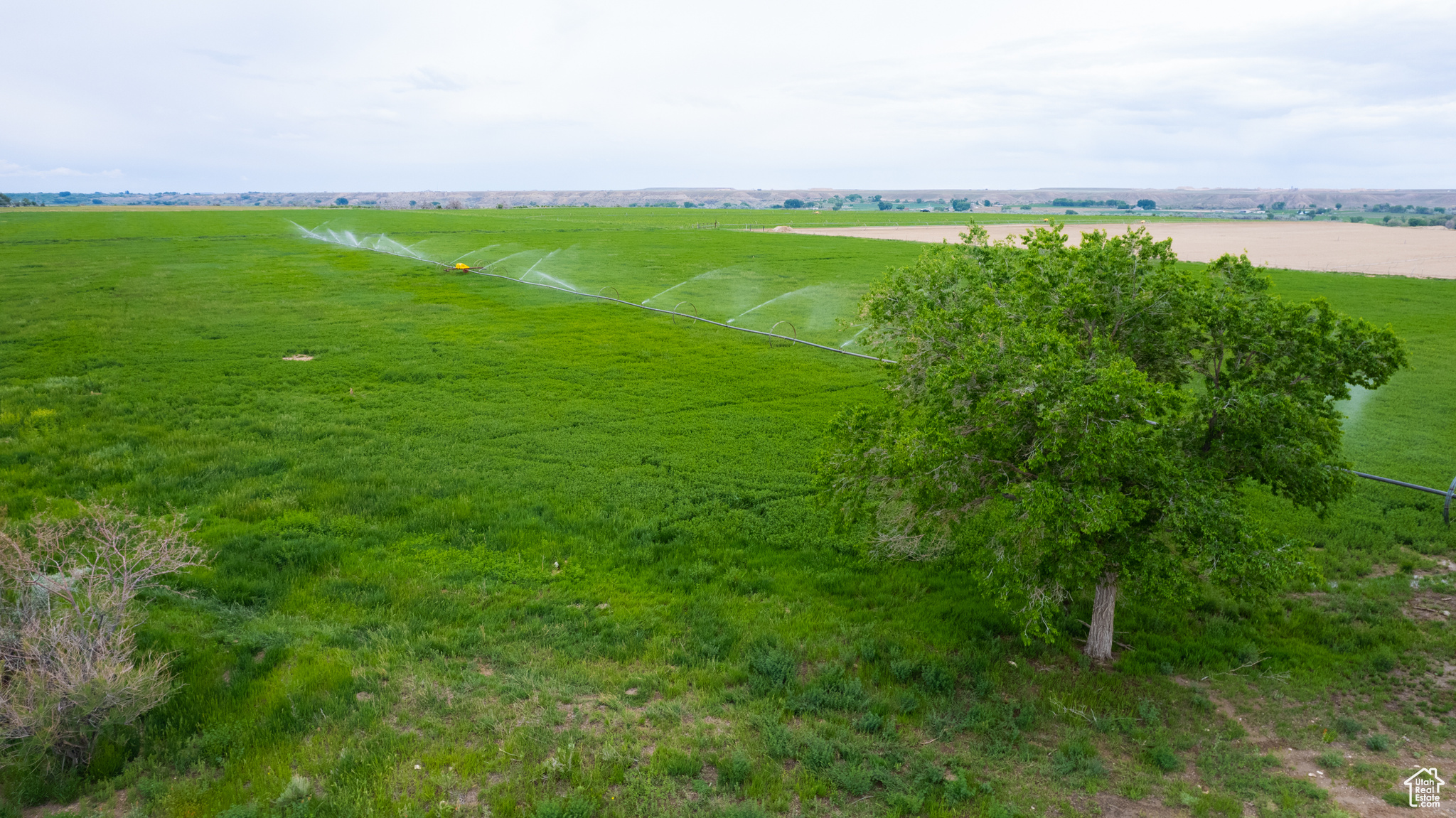 10541 W LAKE BOREHAM, Duchesne, Utah 84021, ,Farm,For sale,LAKE BOREHAM,2008440