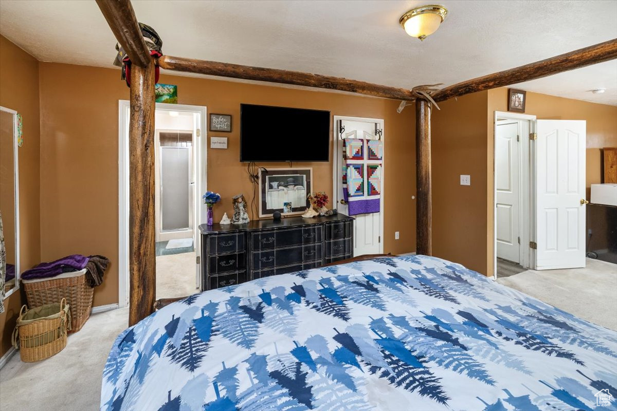 Large master bedroom featuring ensuite bathroom