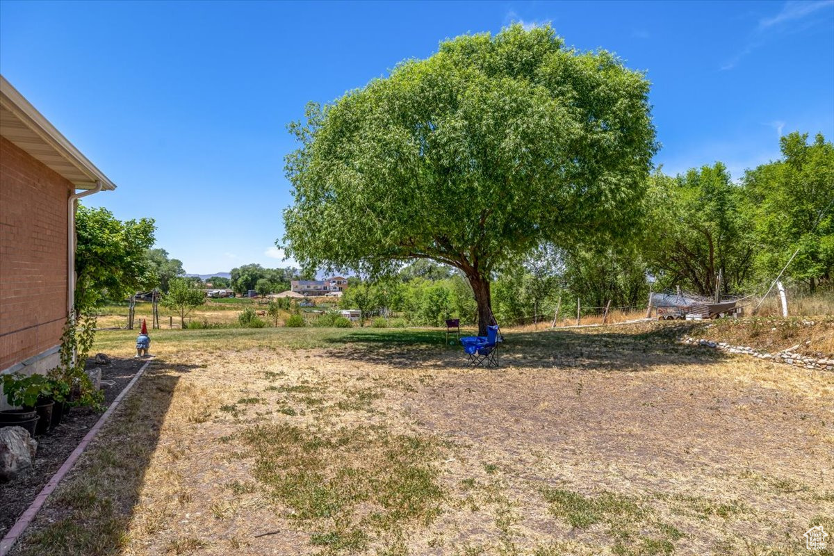 View of backyard