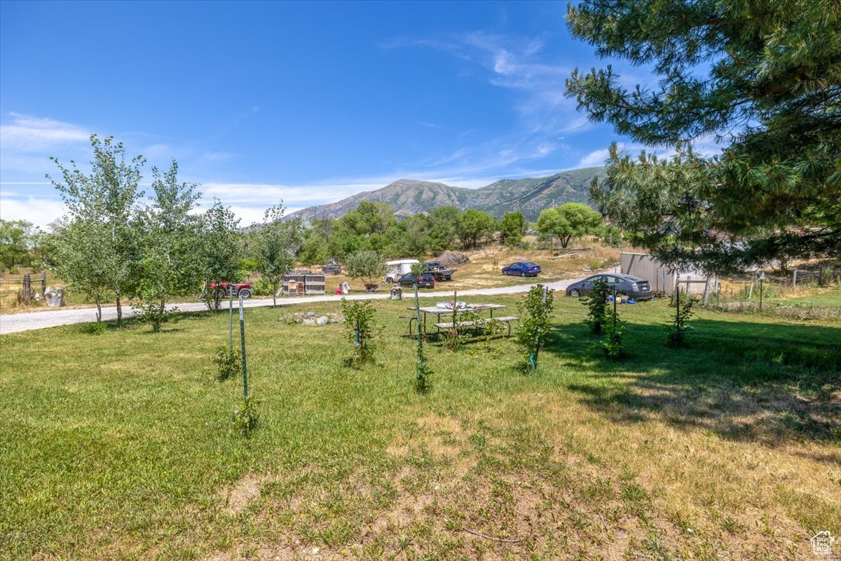 View of yard with a mountain view