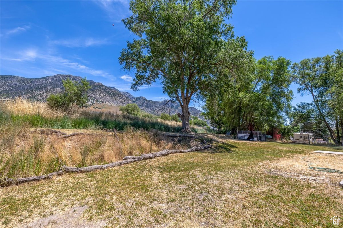 View of backyard with a mountain view