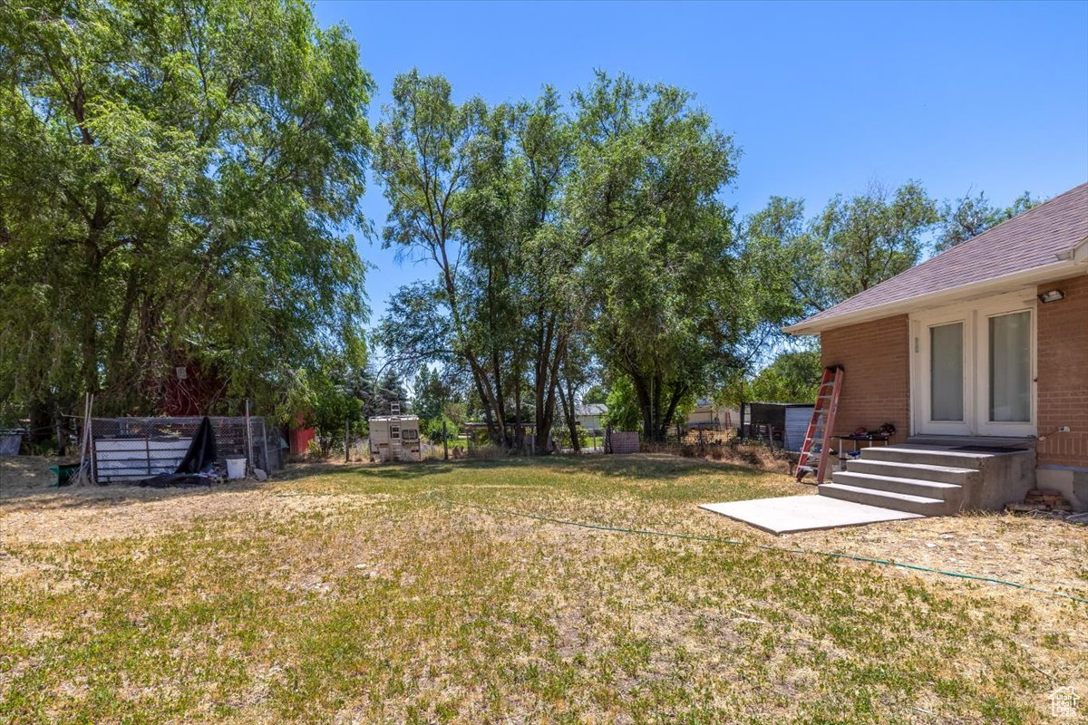 View of backyard