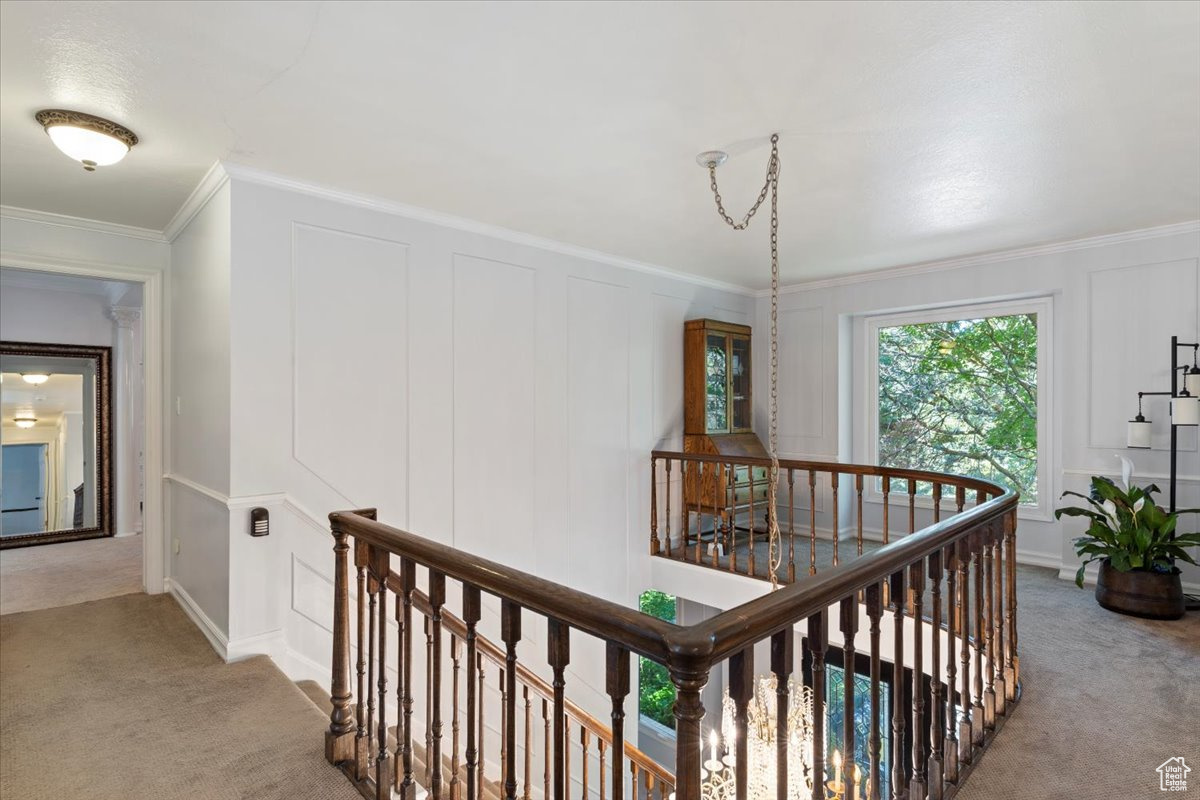 Hallway featuring carpet floors and ornamental molding