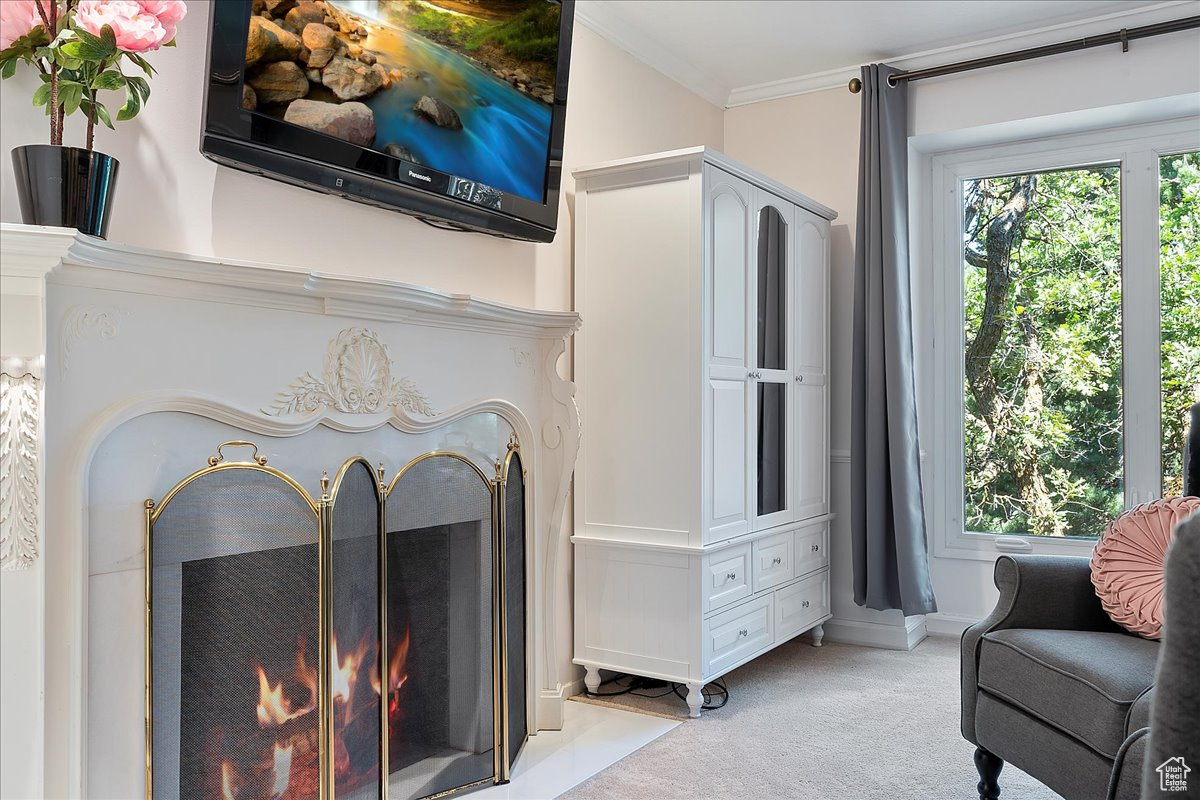 Interior space featuring light carpet and ornamental molding