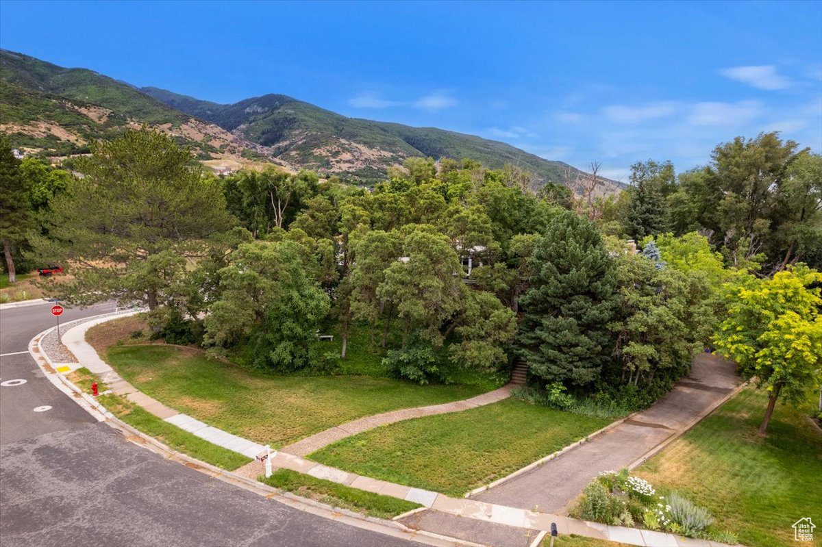 Exterior space featuring a mountain view and a lawn