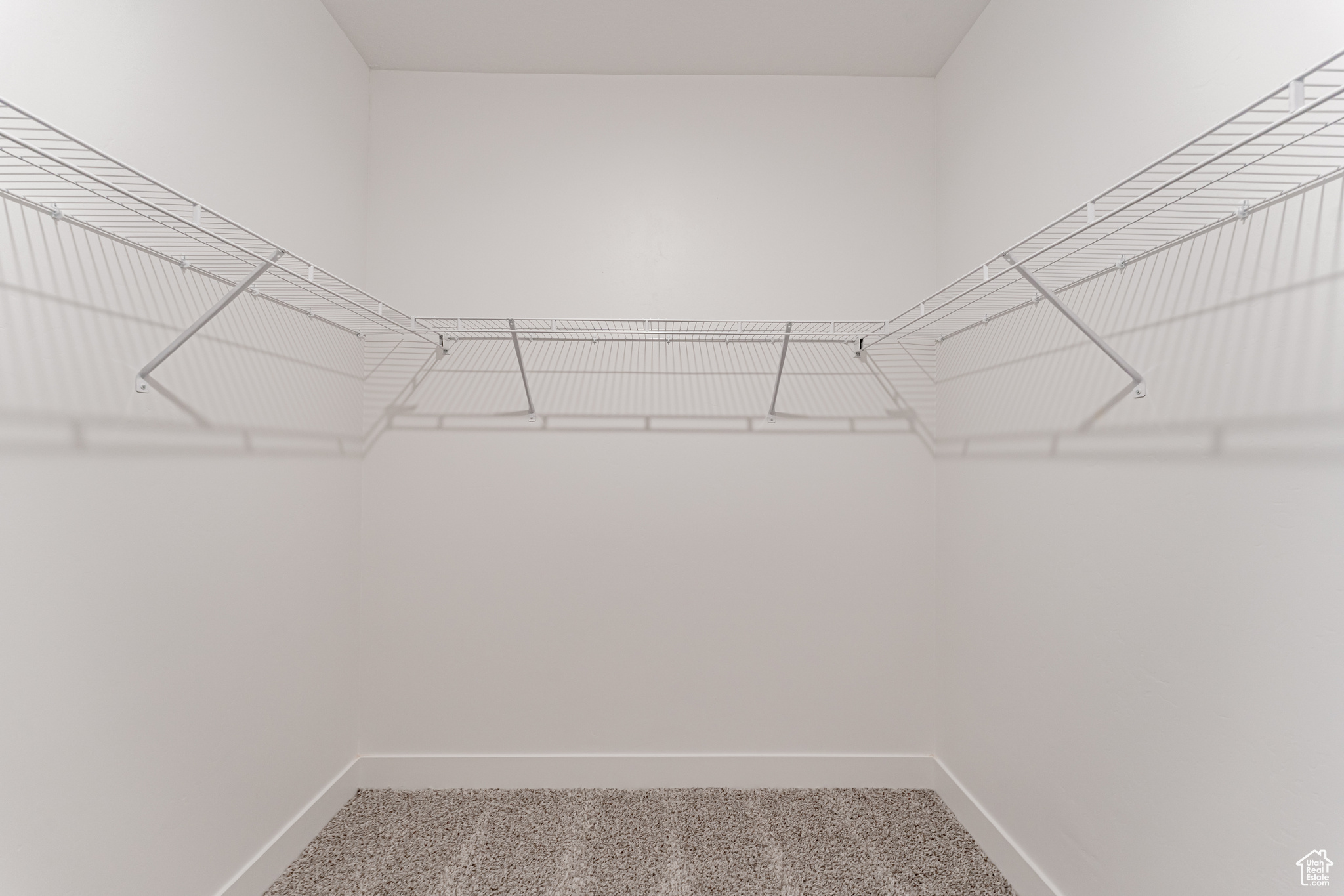 Spacious closet featuring carpet floors