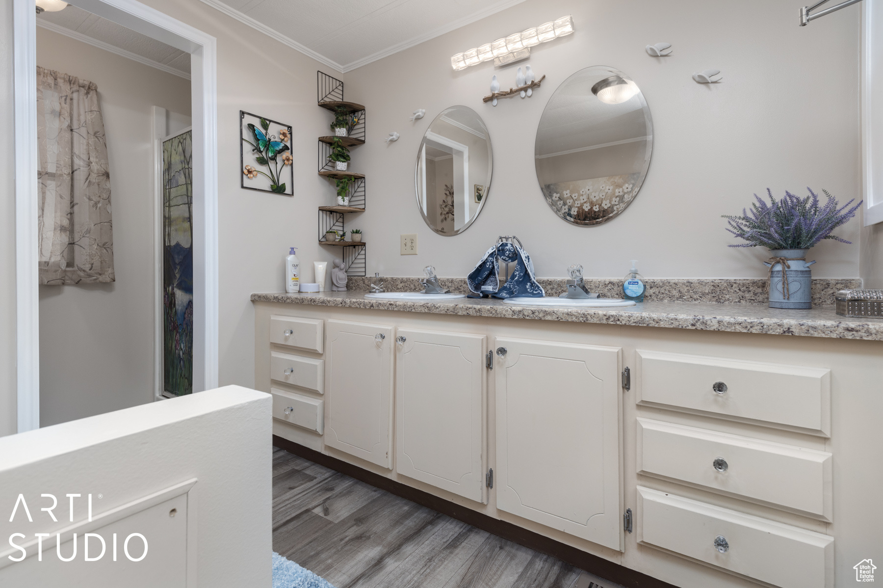 Bathroom featuring vanity, wood-type flooring, and ornamental molding