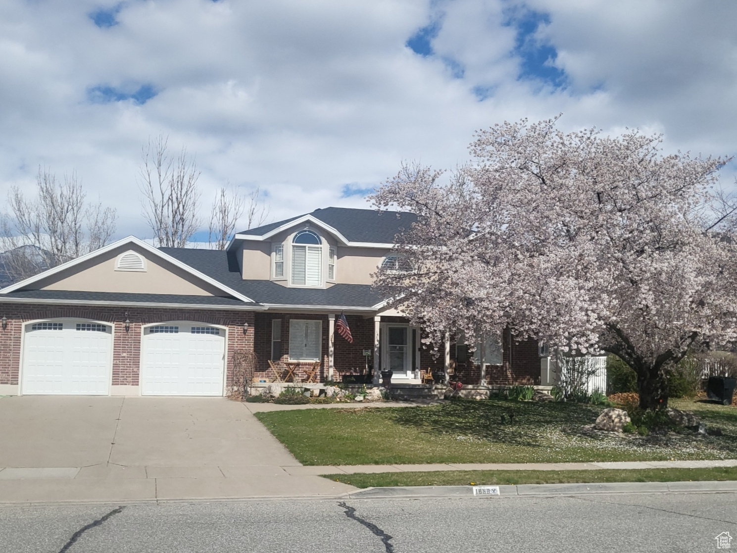 The tree in the front yard blooms beautifully in the spring!